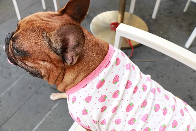 iChoue 100% Breathable Cotton French Bulldog Halloween Cartoon T Shirts Cute Clothes for Medium Dogs Vest Tank Tops Frenchie English Boston Terrier Pitbull Strawberry - Large Plus