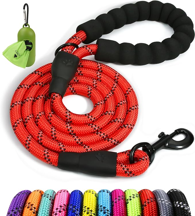 Taglory Rope Dog Leash 5 FT with Comfortable Padded Handle, Highly Reflective Threads Leash for Small Dogs, 3/8 inch, Red