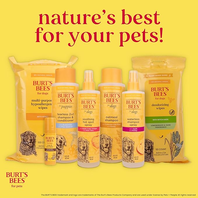 BURT'S BEES FOR PETS Naturally Derived Deodorizing Spray for Dogs - Best Dog Spray for Smelly Dogs - Made with Apple & Rosemary - Cruelty Free, Made in USA, 10 oz - 6 Pack