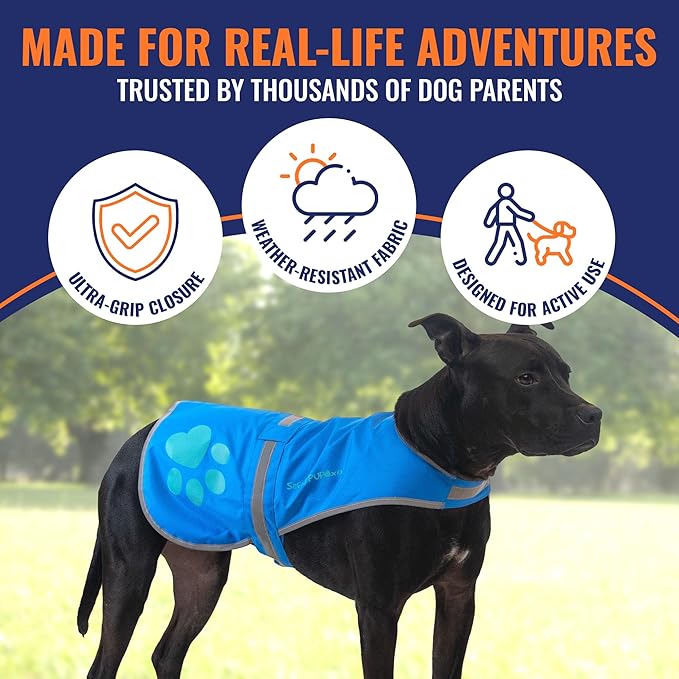 SafetyPUP XD Dog Reflective Vest – Hi-Vis Fluorescent Visibility That Helps to Safeguard Your Pet On/Off Leash in Urban & Rural Areas (Blue, Large)