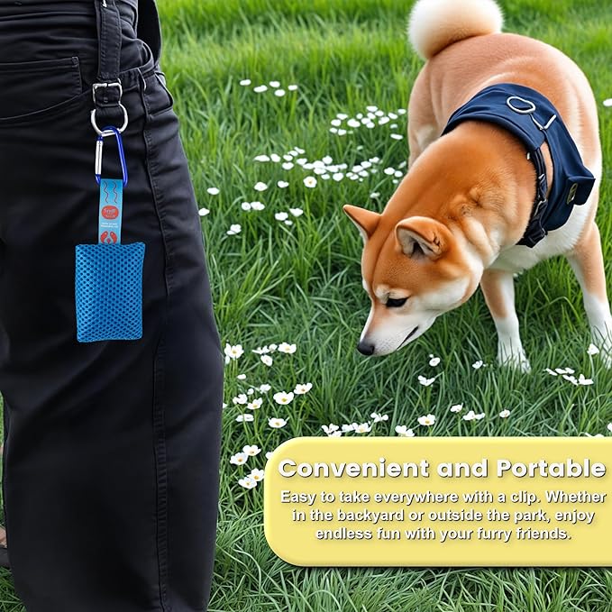 6 Interactive Dog Scent Training Kit Fun | Nose Scent work Games for All Ages Dog, Enhance Dog Brain Games, Scent Work Kit for Dogs, Nose Work for Dogs, Hide and Seek Dog Toys, Dog Scent Training Box