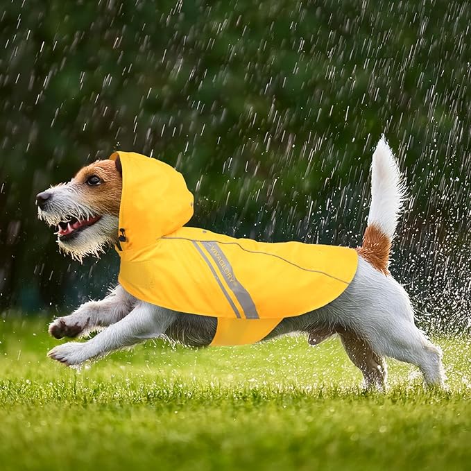 VIVAGLORY Wetoff Dog Raincoat, Rain Coat for Dog All Seasons Adventure, Rain Jacket with Harness Hole & Hood, Reflective Lightweight Waterproof for Doggy & Puppy, XL, Yellow