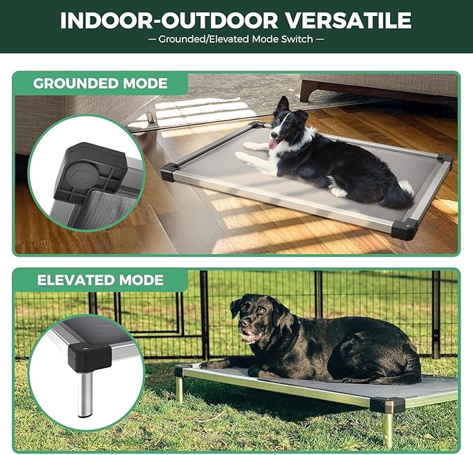 FXW TitanNest Chew-Proof Elevated Dog Bed, Raised Cot for Indoor/Outdoor/Camping Use, Durable & Washable Padded Pet Bed for Medium Dogs, 41.0" L x 27.0" W x 5.0" H, Gray
