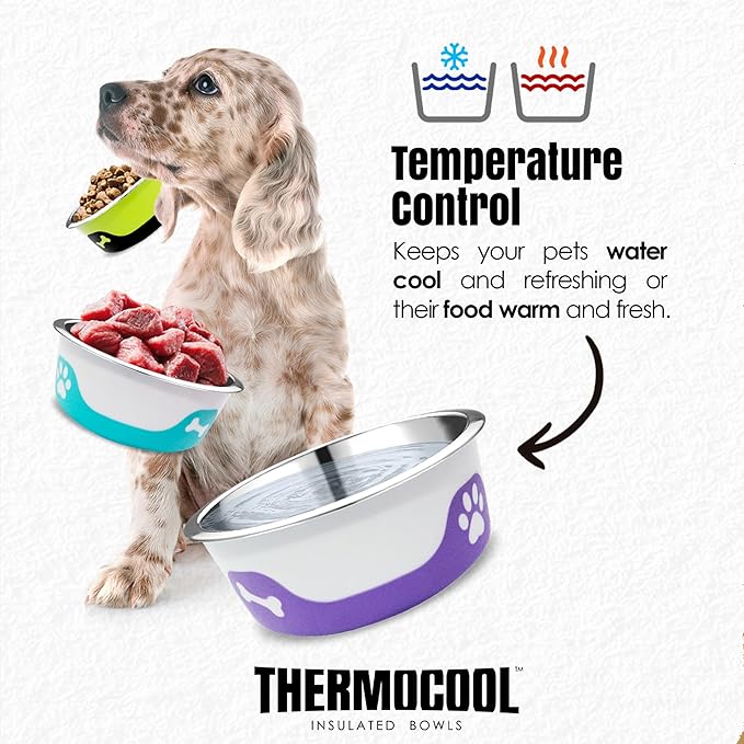 Thermocool Insulated Stainless Steel Pet Bowl - 16 Oz (Medium) Non-Slip Feeding Dish Reduces Sliding & Spills, Keeps Water Cold & Food Warm, Dishwasher Safe (Light Purple)