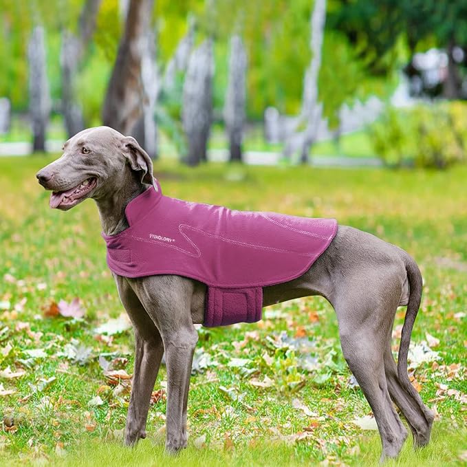 VIVAGLORY Dog Fleece Coat Warm Jacket with Hook and Loop Fastener, Easy to Take on and Off, Winter Vest Sweater for Small Medium Large Dogs Puppy Windproof Clothes for Cold Weather, Fuchsia, XL