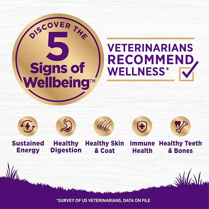 Wellness Complete Health Dry Dog Food, Wholesome Grains, Natural, Chicken & Oatmeal Recipe, (15-Pound Bag)