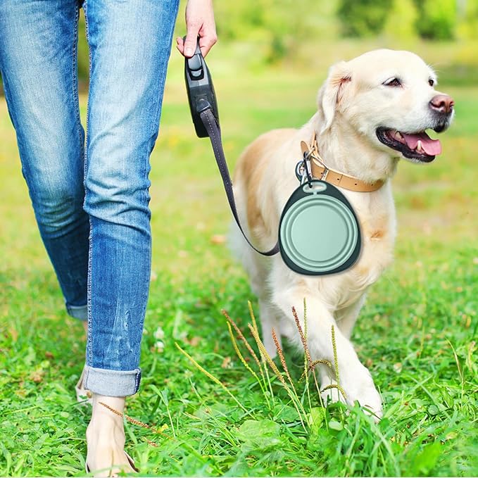 Reusable Pet Collapsible Bowls 2 Pack for Cats Dogs, Portable Pet Feeding Watering Dish with 2 Carabiners for Walking Parking Traveling Indoor， (Medium Blue+Green)