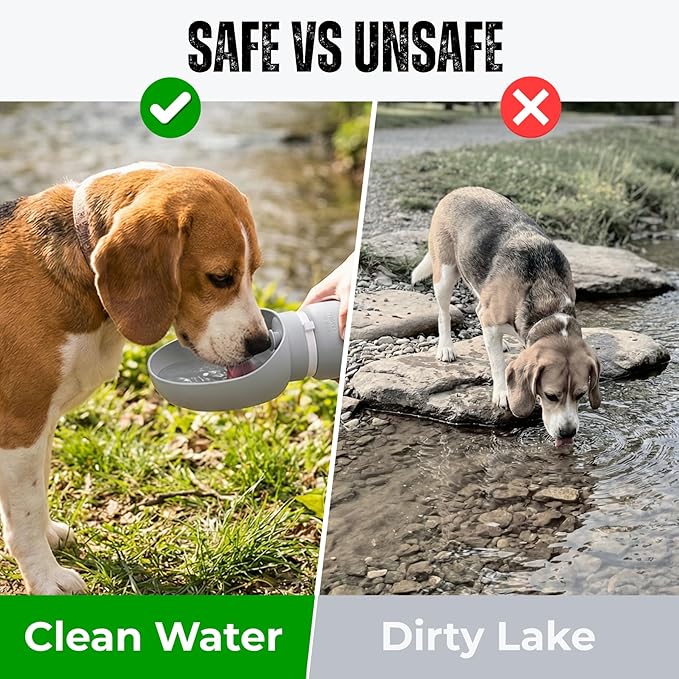 Collapsible Water Bottle for Dogs, Foldable Leak-Resistant w/Drain-Back, Pet Travel Bowl, 19oz for Walks, Hiking & Road Trips