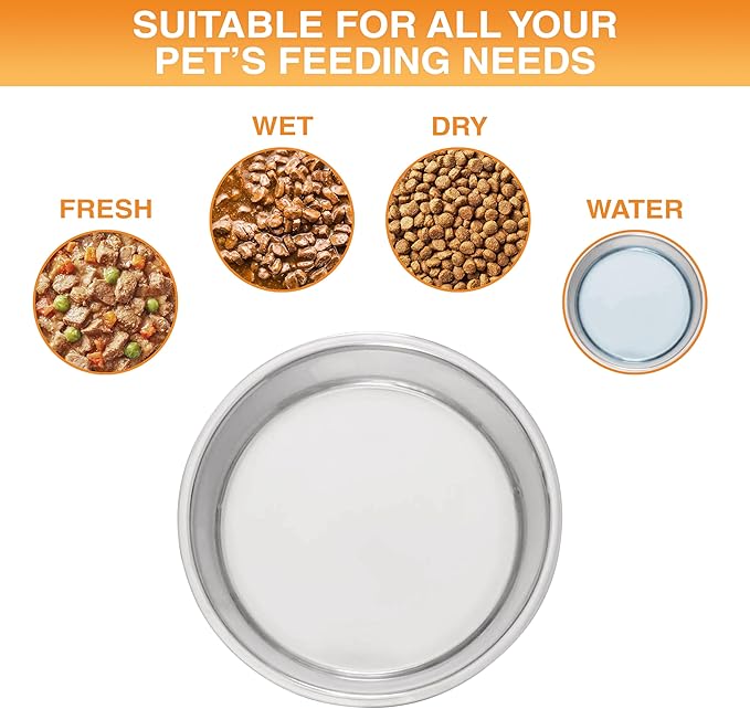 Neater Pet Brands Stainless Steel Dog Bowls with Non-Slip Rubber Bottom – 2 Cup (16 oz), Tan - Set of 2 Heavy Duty Metal Dog Bowls, Dishwasher Safe, Food or Water Bowl, Ideal for Small Dogs & Cats