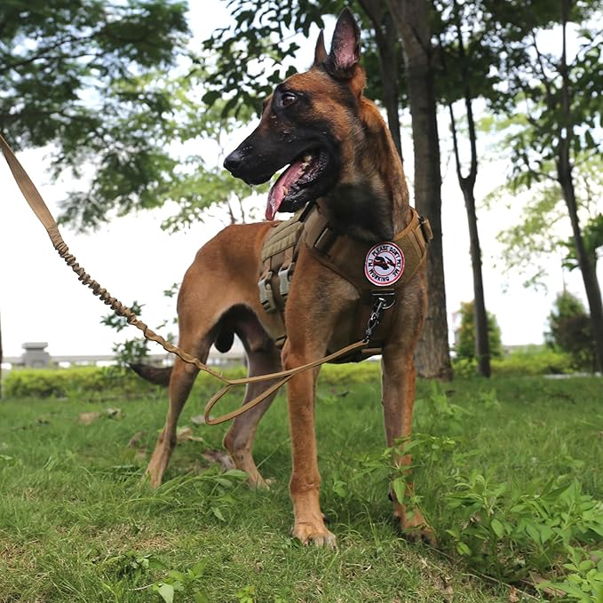 ICEFANG GN3 Tactical Dog Harness with 6X Buckle,Dog Molle Vest with Handle,3/4 Body Coverage,Hook and Loop Panel for ID Patch,No Pulling Front Clip (L (28"-35" Girth), Coyote Brown)