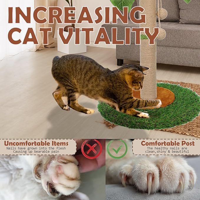 Cat Scratching Post for Indoor Cats and Kitten - 23.6 Inch Tall Cat Scratching Post with Sisal Rope, Palm Tree Scratch Post with Hanging Ball