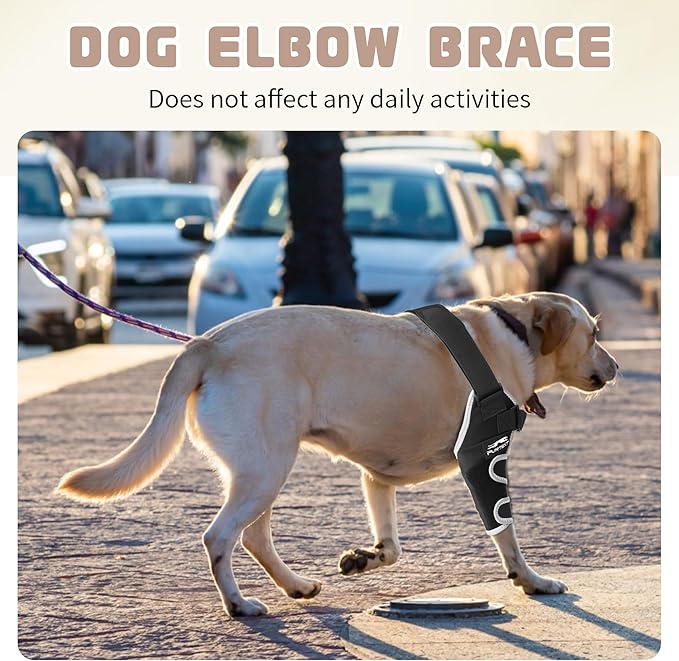 Dog Front Leg Brace for Pets Elbow Dysplasia - Offers Elbow Support and Stable, Reflective Pet Recovery Suit Taper Collar Alternative, Helps Wound Healing, Prevents Licking, M