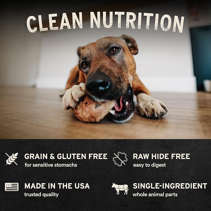 Vital Essentials Freeze-Dried Raw Duck Head Dog Treat & Long-Lasting Natural Chew, 1-Pack | Single Ingredient Dog Treat for Aggressive Chewers | Made in USA