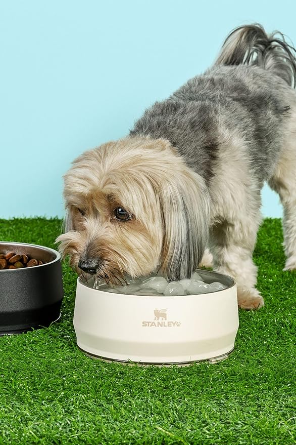 STANLEY Pet Bowl | 3-Cup (24 oz) Insulated Stainless Steel Dog & Cat Bowl | Splash-Resistant Lid | Dishwasher Safe | BPA-Free | Cream