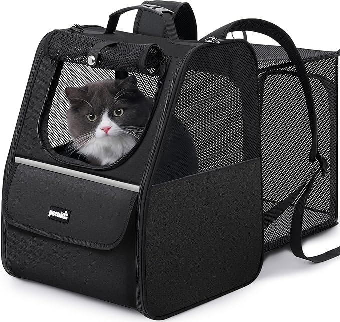 Expandable Cat Backpack Carrier — Ventilated Mesh, Safety Leash, Up to 11lbs (Black)