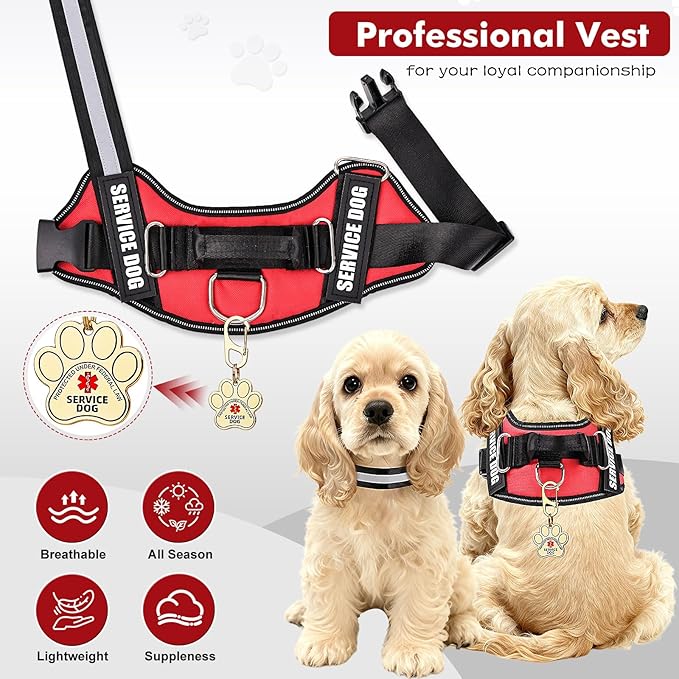 Service Dog Vest, ID Tag + 50 ADA Information Cards, Service Dog Harness w Patch in Sizes X Small to XX Large, Ruggedized Metal Tag, Service Animal Information Cards, ESA Accessory Set XX-LARGE
