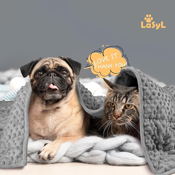 LaSyL Weighted Blanket for Pets | Thunder Blanket for Dogs Anxiety | Premium Soft Minky | Relaxation & Calming & Anti Anxiety | Used in Car, Bed, Couch | Dark Grey, Washable Small (24"x32")