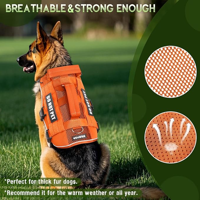 WINSEE Mesh Dog Harness with 10 Pet Patches for Small Service Dog in Training, Breathable Tactical Molle Vest with Double Handle, Reflective Military Pet Vest for Walking Hiking