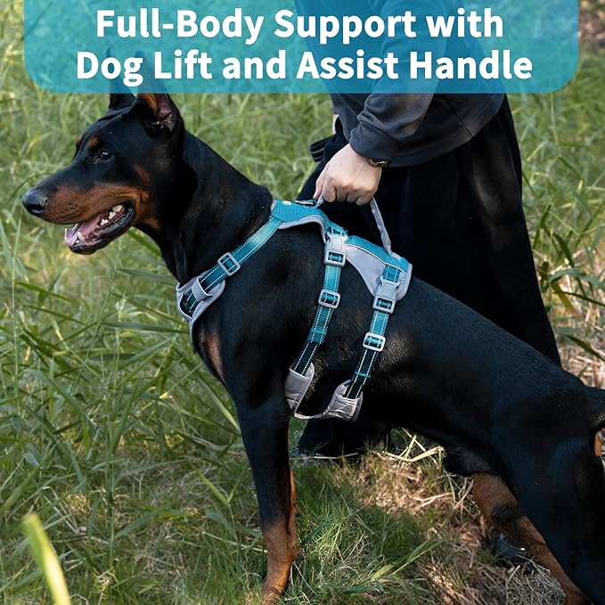 Huntboo Reflective Dog Harness with Handle, Escape Proof, No Slip, Breathable, Lightweight, Adjustable Lift Harness for Small, Medium, and Large Dogs Walking, Training, and Running Gear(Teal Blue,S)