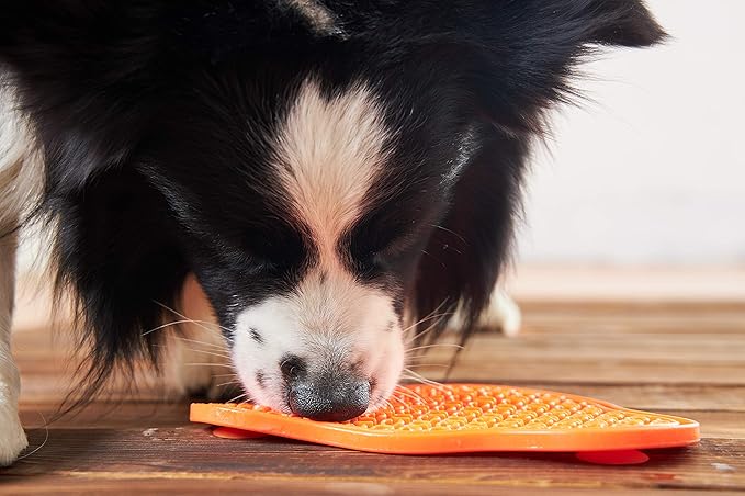 PetDreamHouse PAW 2-in-1 Slow Feeder Interactive Bowl and Removable Lick Mat Pad for Dogs, Puppies or Cats Plate Food Treats Controls Fast Eating Anti Bloating - Orange