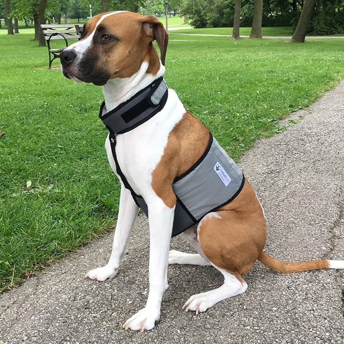 CoolerDog Dog Cooling Vest and Cooling Collar - Ice Vest for Dogs Medium (22" to 27" Girth)