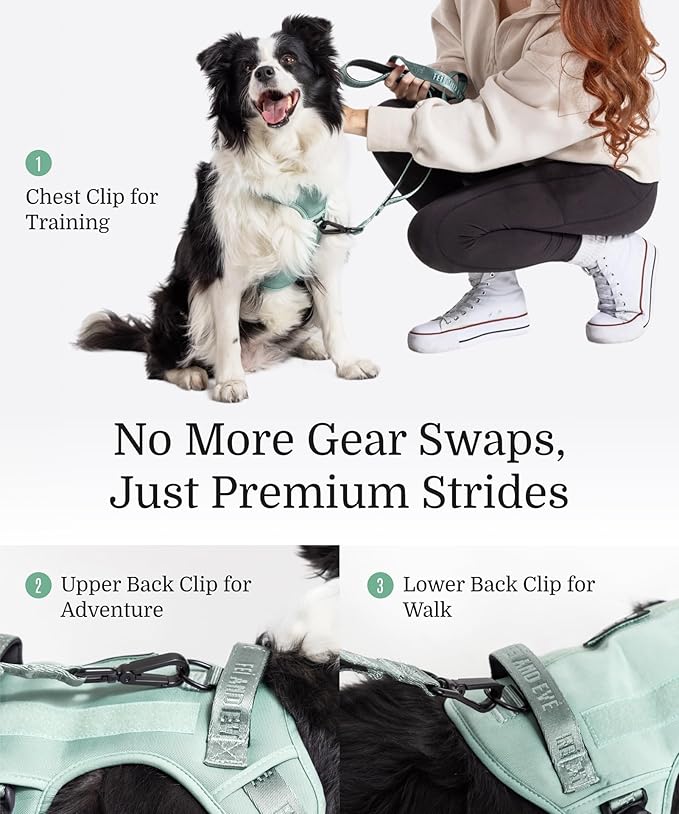 2025 New Edition, Fei & Eve Classic Dog Harness - Quick-Release Buckles | 3-Point No-Pull Control | Heavy-Duty 900D Nylon | Dual Safety Handles | Breathable Mesh | Adjustable Fit | Large,Green