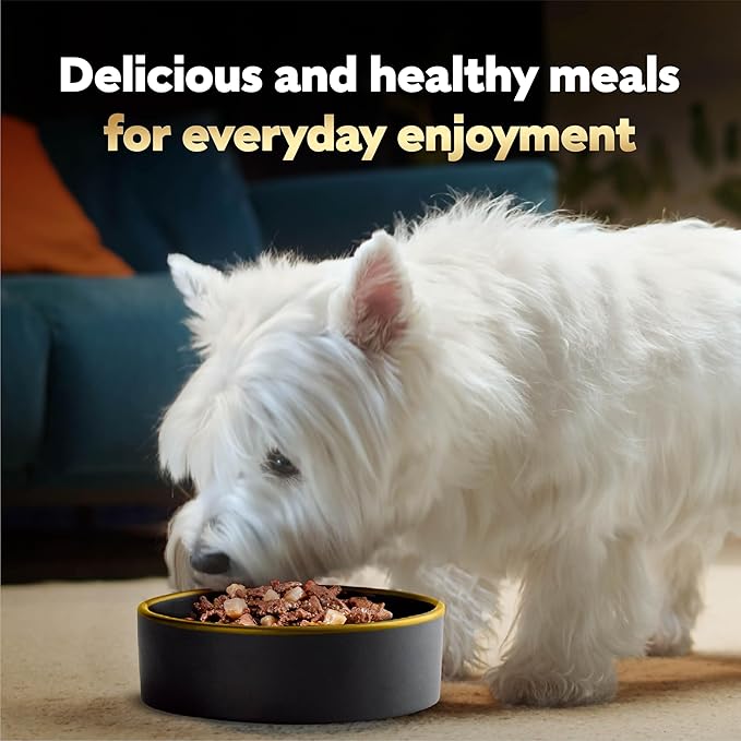 Cesar Home Delights & Classic Loaf in Sauce Wet Dog Food Variety Pack, 3.5 oz. Trays, 36 Count