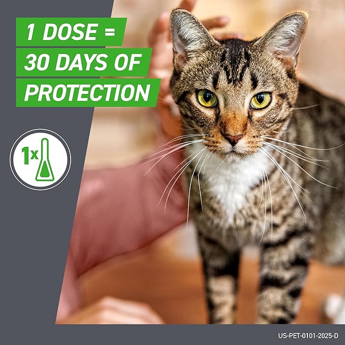 FRONTLINE Plus Flea and Tick Treatment for Cats Over 1.5 lbs. 3 Treatments