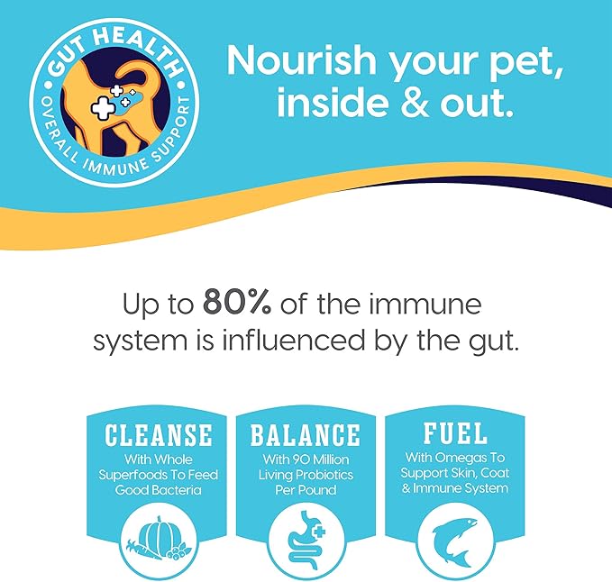 Solid Gold Beef Bone Broth for Dogs - Grain Free Dog Food Topper Rich in Collagen and Superfoods - Nutrient Dense Dog Gravy Topper for Dry Food - Promotes Gut Health and Hydration - Single