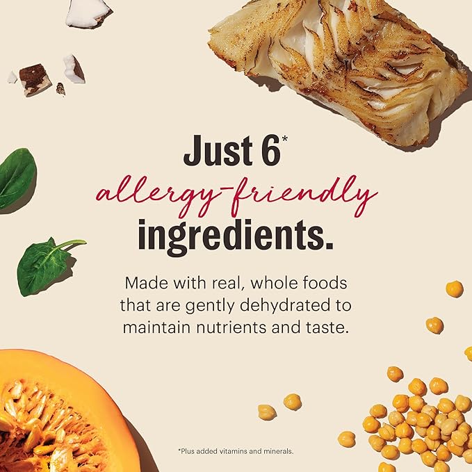The Honest Kitchen Wholemade™ Dehydrated Limited Ingredient Fish Dog Food, 10 lb Box