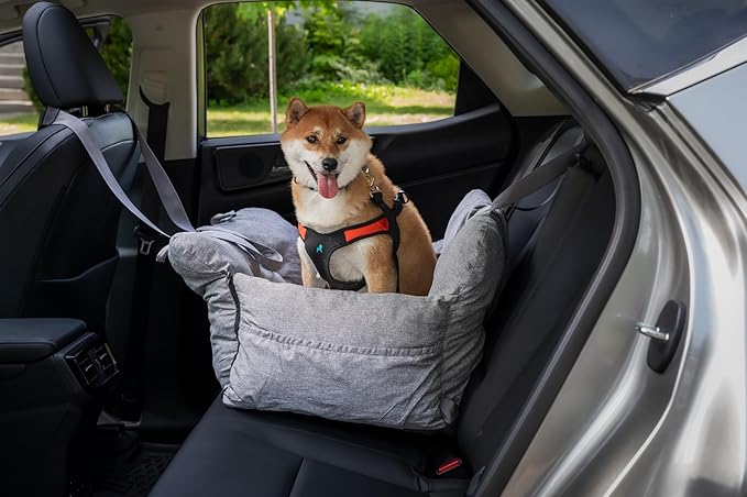 JACKO & CO - Premium Dog Car Seat v2 Booster Seat for Small & Medium Pets Under 40lbs - Machine Washable w Removable Covers, Water Resistant w Clip-On Leash for Back Seat Use (Grey Medium (25-40lbs)