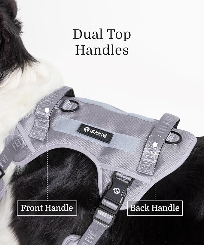 2025 New Edition, Fei & Eve Classic Dog Harness - Quick-Release Buckles | 3-Point No-Pull Control | Heavy-Duty 900D Nylon | Dual Safety Handles | Breathable Mesh | Adjustable Fit | Medium,Gray