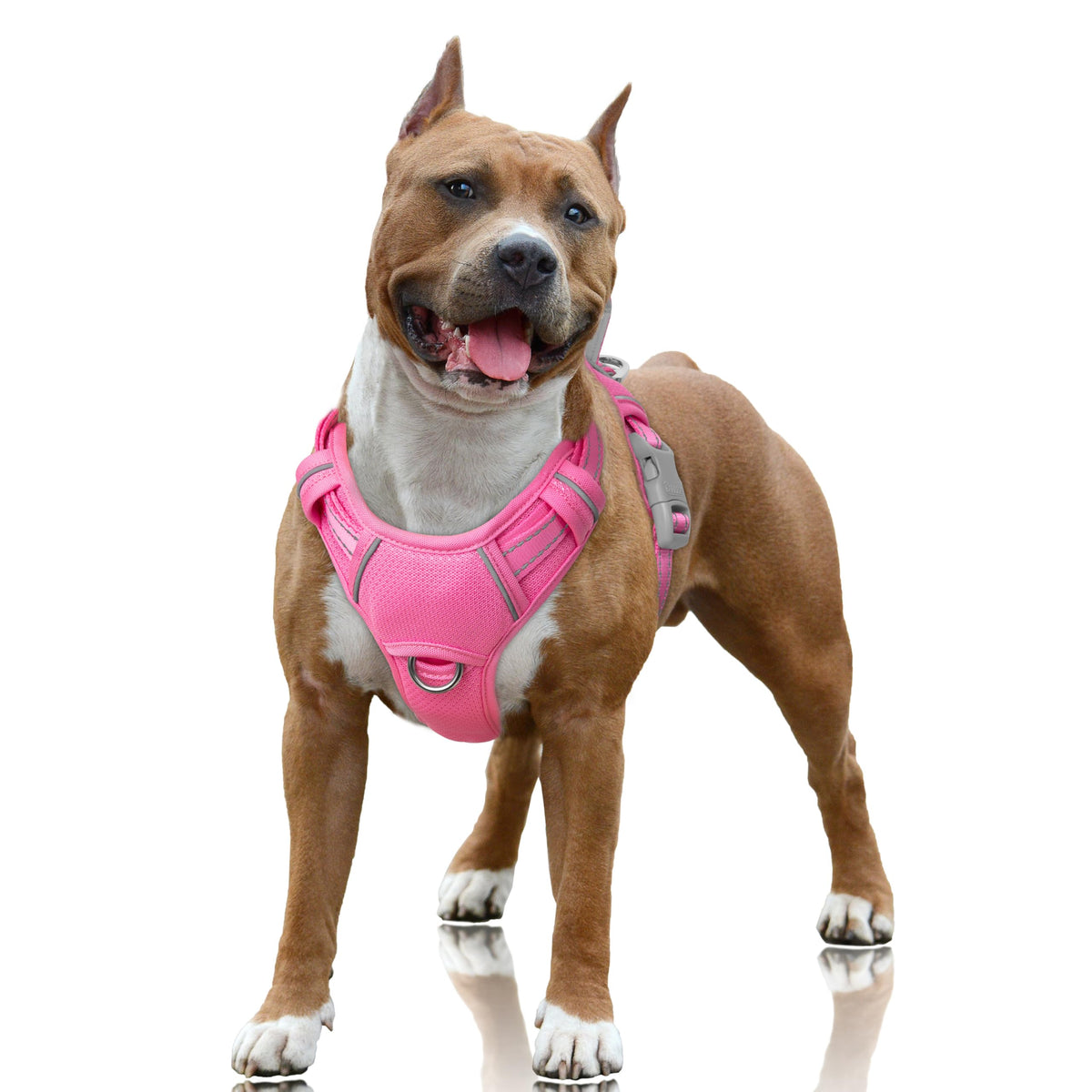 BARKBAY Dog Harness for Large Dogs No Pull Dog Vest ID Tag Pocket - Image 1