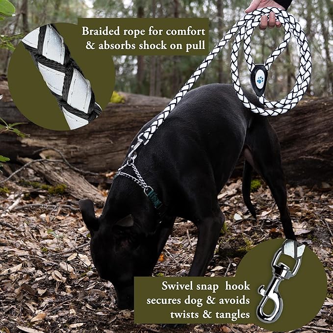 Reflective Dog Vest & Leash – Hi-Vis Pink Vest + 6 Ft Tangle-Free Black Leash for Medium & Large Breeds – Durable, Comfortable, Urban & Rural Use (Medium)