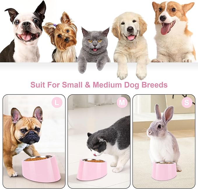 Tilted Dog Bowl Non-Slip & Non-Spill Pet Feeder with Elevated Detachable Melamine Stand, Easy to Get Food Dog Dish, S/100ml Pink