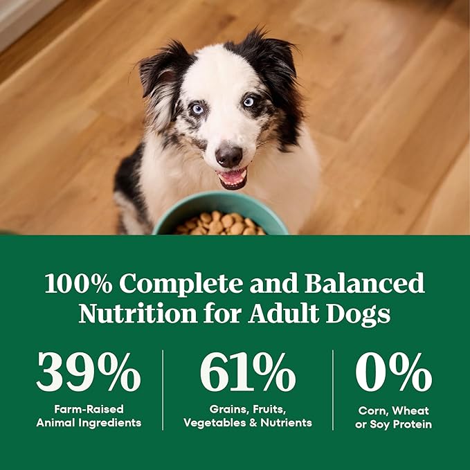 Nutro Natural Choice Adult Dry Dog Food, Lamb and Brown Rice Recipe, 12 lbs.