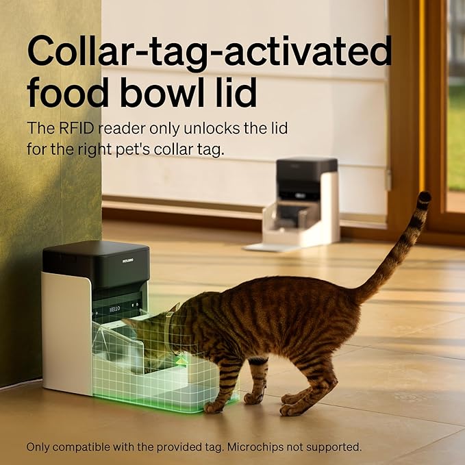 RFID Smart Cat Feeder for 2 Cats — Collar Tag Activated, Diet Tracking, Pack of 2