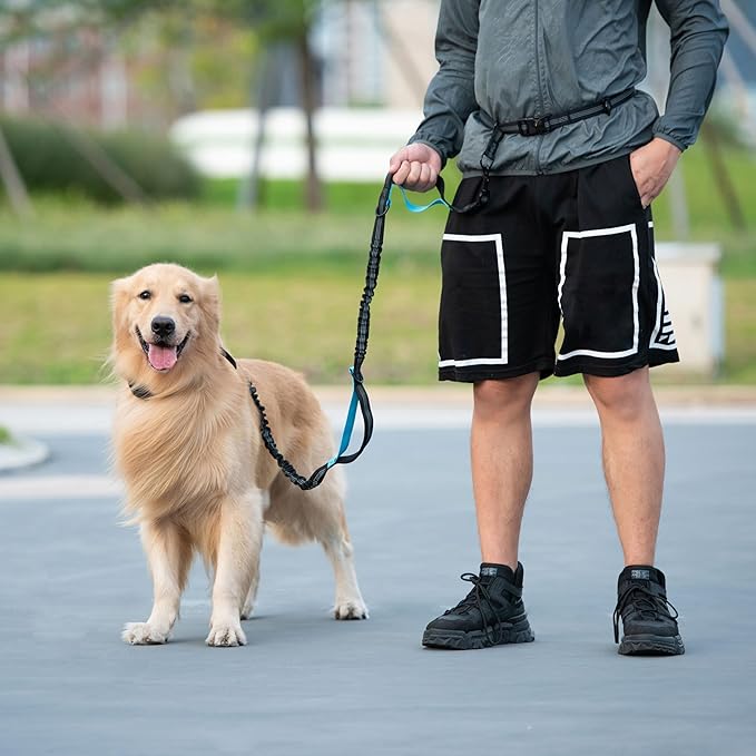 iYoShop Hands Free Dog Leash with Zipper Pouch, Dual Padded Handles and Durable Bungee for Walking, Jogging and Running Your Dog (Large, 25-120 lbs, Yellow)