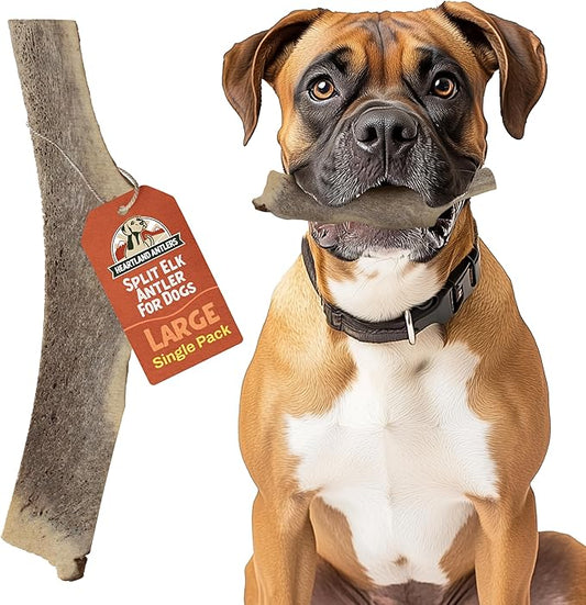 Heartland Elk Antlers for Dogs - Daily Dental Care Chews for Aggressive Chewers to Reduce Plaque & Prevent Destructive Behavior (Splinter Free, 7", Large, 1-Pack, Grade A, USA Made)