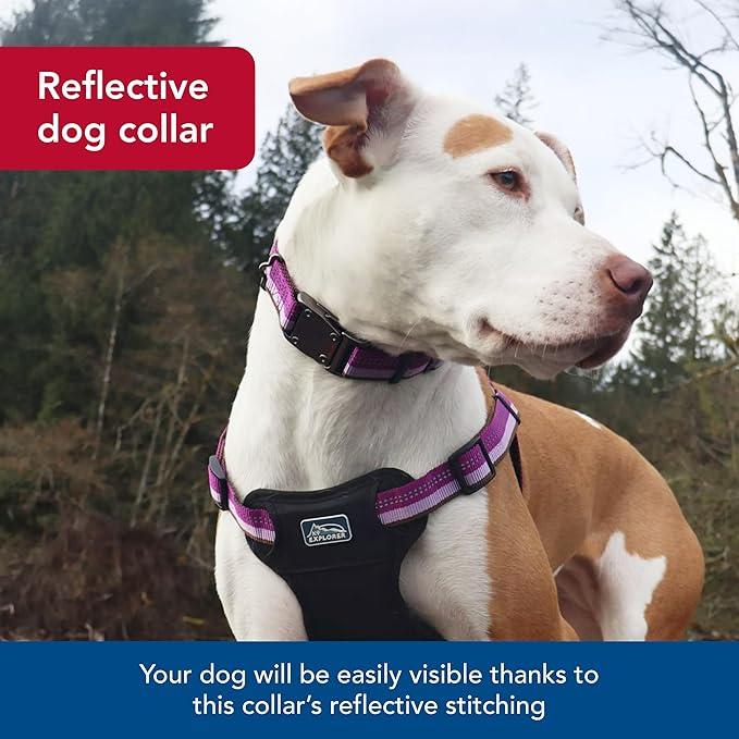 Coastal Pet K9 Explorer Reflective Adjustable Dog Collar - Comfortable Collar for The Outdoors - Durable, Lightweight Accessory with Side-Release Buckle - Orchid, 5/8" x 8-12"