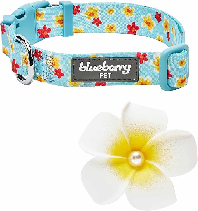 Blueberry Pet Fragrant Plumeria Adjustable Dog Collar with Detachable Accessory, Aqua, Medium, Neck 14.5"-20"