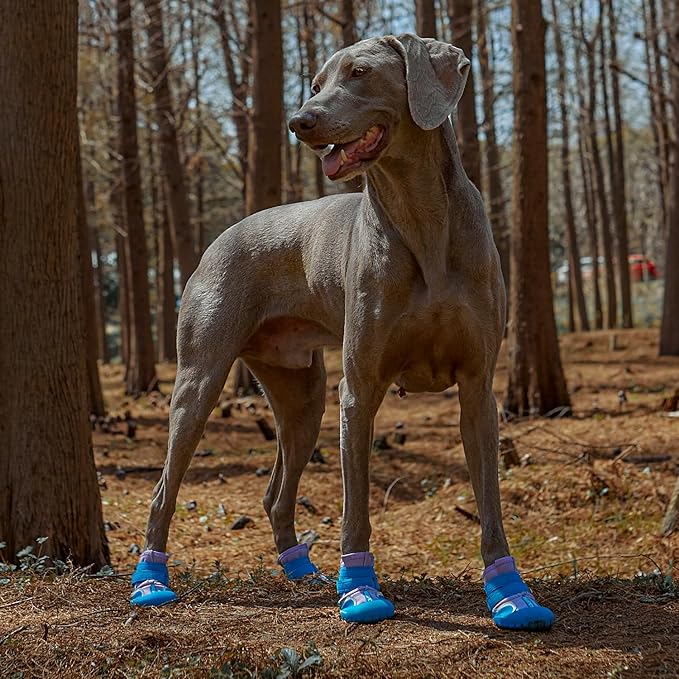 Dog Shoes, Waterproof Dog Booties Paw Protector for Hot Pavement, Snowy Day, Outdoor Walking Skip-Proof Dog Shoes Blue 2.4in L