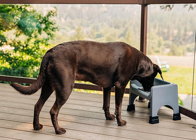 The Fluff Trough Fluff Trough XL Set Elevated Dog Bowl Feeder for Healthy Posture & Digestion, Minimizes Neck Strain, Vet Recommended, Dishwasher Safe, Black, X-Large (Pack of 1)