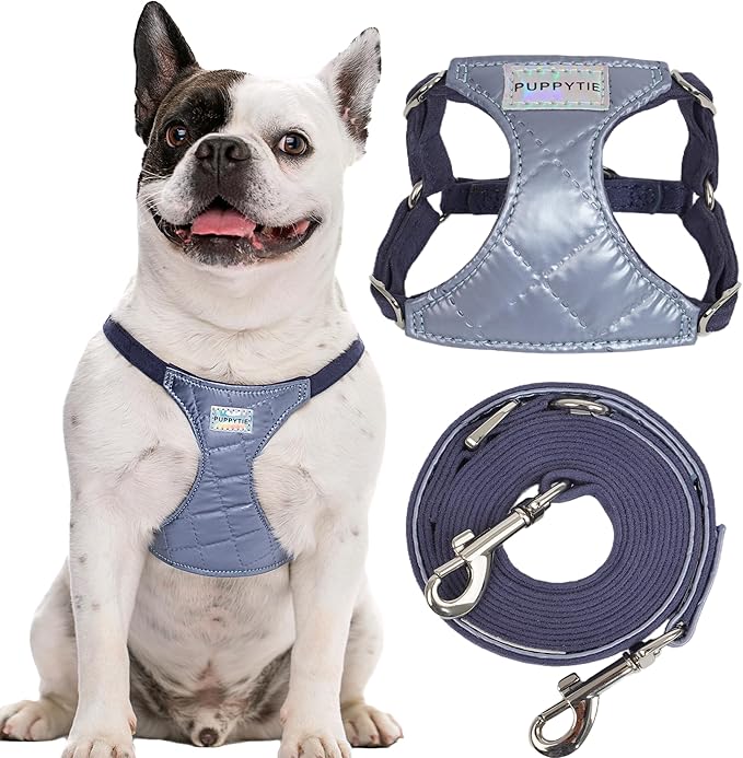 Puppytie No Pull Small Dog Harness with Multifunction Dog Leash,Lightweight Soft Adjustable No Choke Escape Proof Pet Harness Vest Pet Harness Vest,Glossy Galaxy Blue,S