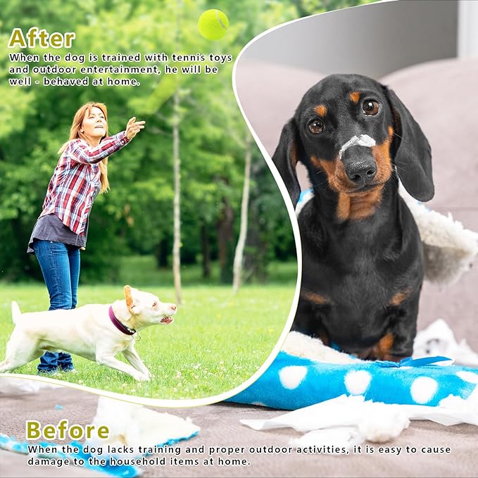 Magicorange Small Tennis Balls, 60 Pack 2 inch Tennis Balls for Dogs, Colorful Easy Catching Pet Dog Playing Ball (Multicolor)
