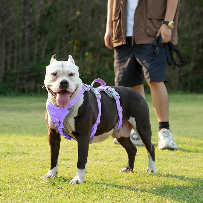 Huntboo Escape Proof Dog Harness, Escape Artist Harness, Reflective Harness with Padded Handle, Breathable, Adjustable Vest for Medium Dogs Walking, Training, and Running Gear (Lavender Purple, L)