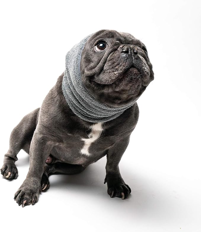 Pet Hoodz PHMG Pet Hoodies, Grey - Medium