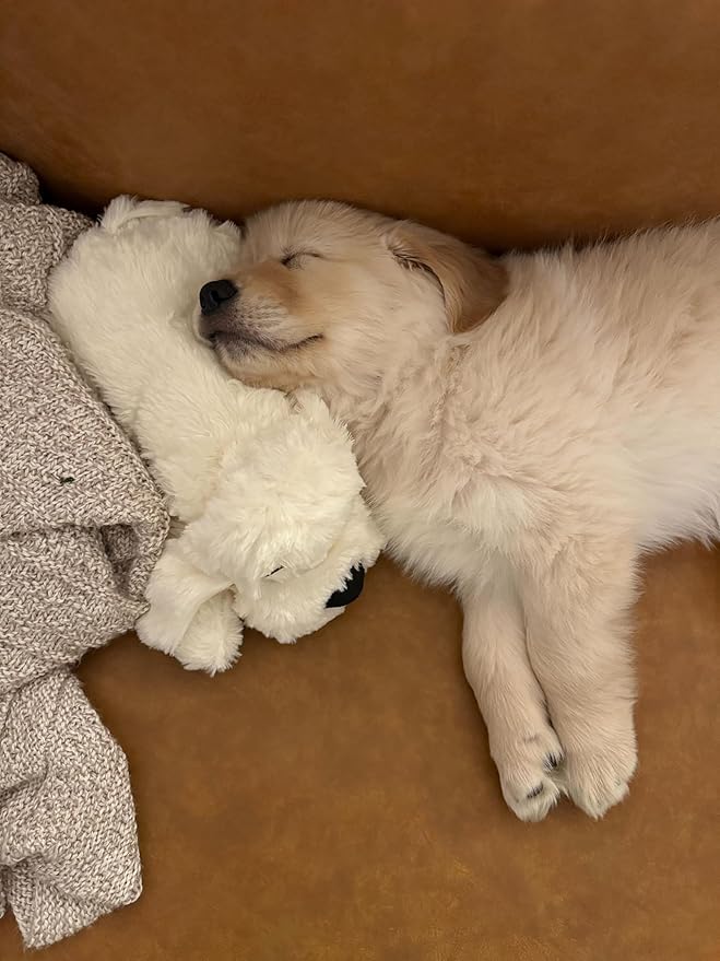 Snuggle Puppy Original Toys - Heartbeat Puppy for Dogs - Pet Anxiety Relief and Calming Aid - Comfort Dog Toys for Behavioral Training - Plus 6 Heat Packs