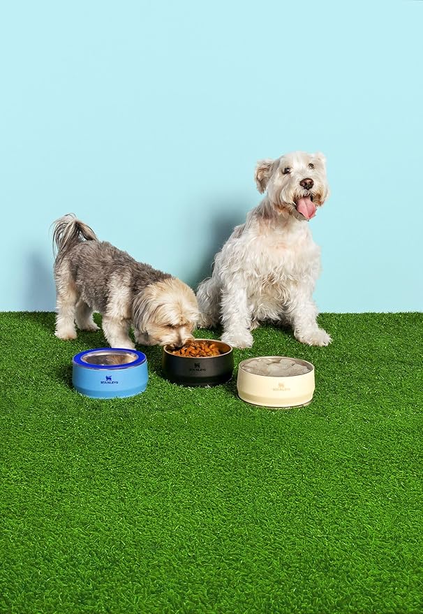 STANLEY Pet Bowl | 3-Cup (24 oz) Insulated Stainless Steel Dog & Cat Bowl | Splash-Resistant Lid | Dishwasher Safe | BPA-Free | Black 2.0