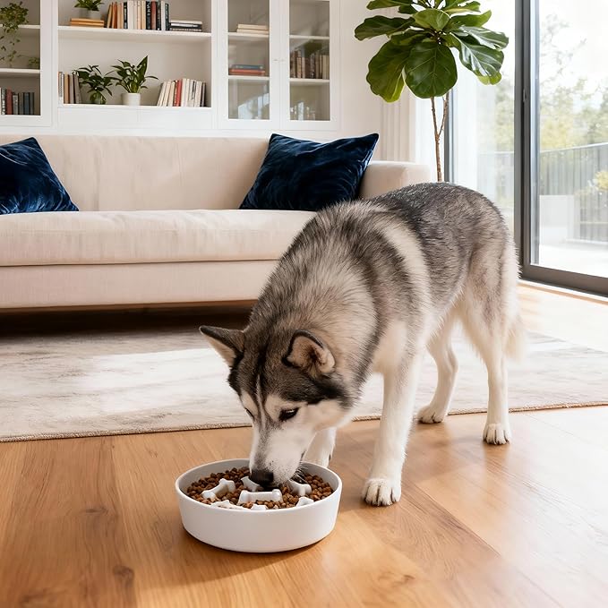 Ceramic Slow Feeder Dog Bowl, 1.5 Cup Dog Food or 20oz Water, Slow Eating Bowl for Small Breed, Maze Puzzle Feeder for Fast Eaters, Anti-Choking Stop Bloat, Non-Slip BPA Free (White Bone)